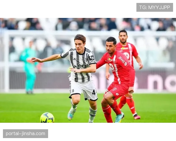 蒙扎0-2乌迪内斯，主队实验性的3-5-2新阵被证明缺乏默契